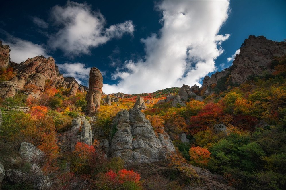 Красивая природа Крыма - фото 8
