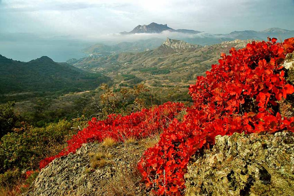 Гора Карадаг в Крыму - фото 7