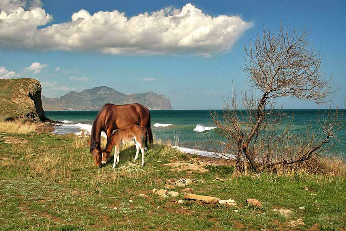 Гора Карадаг в Крыму - фото 8